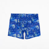 Van Glow Men's Boxer Briefs